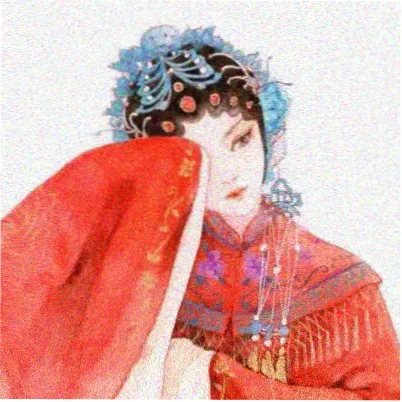读者沈迟头像